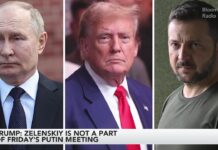 Putin Signals Work on Arms Control Treaty Day Before Alaska Summit, 14 August 2025