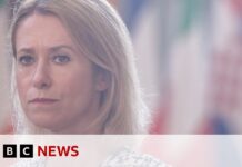 Proposed Ukraine land concessions are ‘Putin’s trap’, EU diplomat says, 22 August 2025