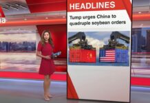 US urges China to buy more soybeans a day before tariff truce expires, 11 August 2025