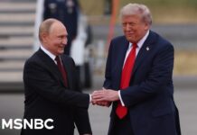 ‘He didn’t do anything tough:’ Fmr. ambassador to Russia on Trump’s FAILURE to make deal with Putin, 17 August 2025