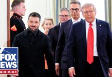 Zelenskyy reportedly considers land swaps with Russia for security guarantees, 19 August 2025