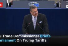 EU Trade Commissioner Briefs Parliament on US Deal Talks, Trump Tariffs, 9 July 2025