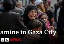 UN-backed report confirms famine in Gaza City, 22 August 2025