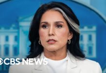Tulsi Gabbard cutting ODNI staff by around 40%, 22 August 2025