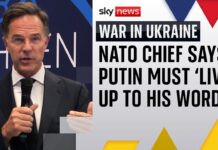 Mark Rutte says Putin has not committed to meeting Zelenksyy, 27 August 2025