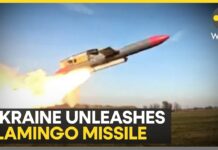 Kyiv’s Flamingo Cruise Missile Hits Russian Secret Service Base in Crimea, 2 September 2025