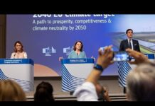 EU open to carbon offsets on path to 2040 emissions target, 2 July 2025