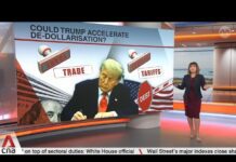 Is the US dollar’s dominance at risk? 8 July 2025