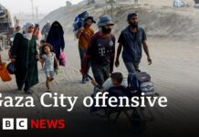 Palestinians flee Gaza City as Israel launches major ground offensive, 17 September 2025