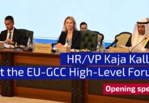HR/VP Kaja Kallas at the High-Level Forum on Regional Security and Cooperation, 6 October 2025