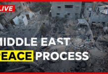 The EU’s role in supporting peace efforts for Gaza, 7 October 2025