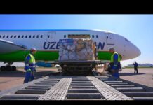 Uzbekistan expands transport network with new rail and air corridors for Central Asian businesses, 18 September 2025