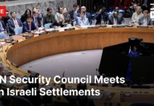 UN Security Council Emergency Meeting on Israeli Settlements in West Bank 29 September 2025