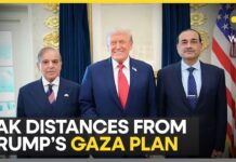 Pakistan FM Ishaq Dar Distances from Donald Trump’s Gaza Plan, 4 October 2025