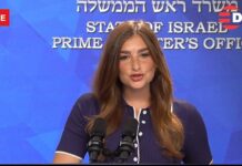 Israeli Spokesperson Reveals New Details on Gaza Talks, 29 October 2025