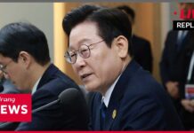 APEC, The Daily Report (2025-11-01)