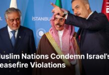 Muslim nations warn Israel over ceasefire violations in Gaza and promise protection, 3 November 2025