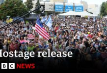 All 20 living hostages released in Gaza now back in Israel, 13 October 2025