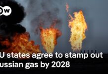 ‘We cannot let ourselves be blackmailed by Russia,’ EU Energy Chief on Russia gas imports, 20 October 2025