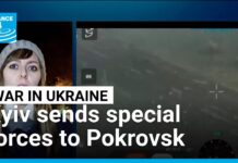 Ukraine sends special forces as Russia closes in on Pokrovsk, 1 November 2025