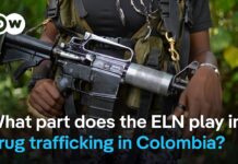 ELN plays key role in Colombia’s cocaine economy, 8 November 2025