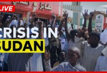 E.P. The human rights situation in Sudan and the EU’s strategy, 11 November 2025