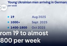 Number of young Ukrainian men arriving in Germany surges dramatically, 14 November 2025