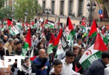 Madrid Crowds Protest UN Support for Morocco’s Western Sahara Plan, 15 November 2025