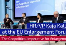 Panel «The Geopolitical Imperative for Enlargement» at the EU Enlargement Forum, 19 November 2025