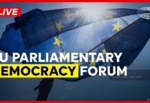 EP. Taking the pulse of democracy: how to reinforce our democratic systems, 19 November 2025