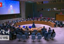 LIVE: UN Security Council Holds Emergency Meeting on Ukraine Conflict, 20 November 2025