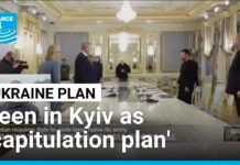Trump plan to end Ukraine war seen in Kyiv as ‘capitulation plan’, 21 November 2025