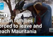 Thousands flee Mali as JNIM blockade triggers new wave of displacement, 2 December 2025