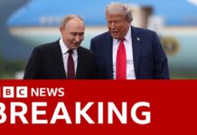 No immediate plans for Trump-Putin meeting, White House official says, 21 October 2025