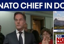 U.S. Senators meet with NATO Chief, 22 October 2025