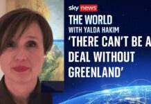 Danish MP rejects proposed Greenland deal, 21 January 2026