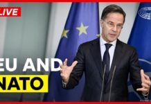 E.P. NATO Chief Rutte on transatlantic security and defence, 26 January 2026
