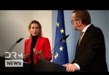 German Defence Minister Pistorius and EU High Rep. Kaja Kallas Hold Joint Press Conference, 13 January 2025