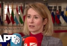 The EU’s foreign policy chief, Kallas, rejects an independent European army and announces, 29 January 2026