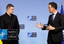 NATO Secretary General and Minister of Defense of Ukraine Mykhailo Fedorov, 12 February 2026