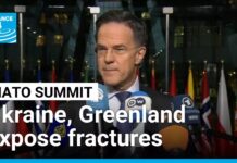 Fractures in NATO exposed amid Ukraine and Greenland talks, 12 February 2026