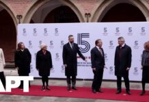 Germany, France, UK, Italy & Poland – Largest Military Powers – Unveil Drone Cooperation Plan, 20 February 2026