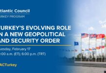 Turkey’s evolving role in a new global geopolitical and security order, 17 February 2026
