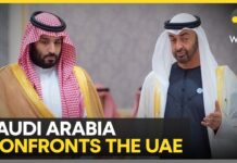 Riyadh Draws Red Lines Over Emirati Actions in Yemen & Sudan, 21 February 2026