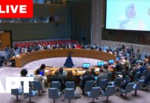 U.N. Security Council Meets on Sudan Crisis After Fact-Finding Mission Report, 19 February 2026