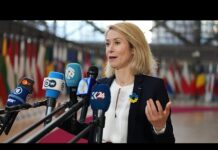 EU foreign ministers wow to protect citizens but refuse to back regime change in Iran, 1 March 2026